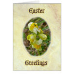 Butter 'n Eggs Easter Greetings Card
