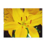 Butter Pixie Asiatic Lily Post Card