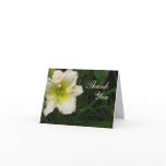 Buttercream Lily Thank You Greeting Card