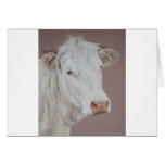 Buttercup Greeting Cards
