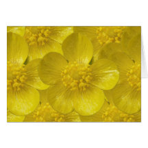 Buttercup Card