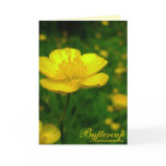 Buttercup Card Wild Flowers Custom Easter Cards