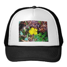 Buttercup Flower Hats