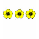 Buttercup Flower t-shirts
