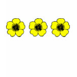Buttercup Flower t-shirts