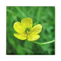 Buttercup Fridge Magnet