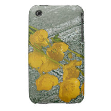 Buttercups and Old Wood Case Case-Mate iPhone 3 Cases