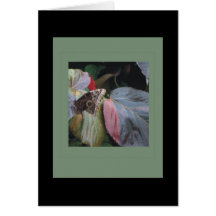 Butterflies and Moths Greeting Card