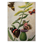 Butterflies and Thistle Card