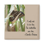 Butterflies are Free magnets