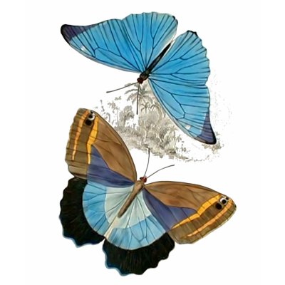 Butterflies - Blue T Shirt by Memory_Lane