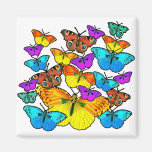 Butterflies! Butterflies!  Magnet