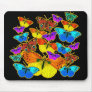 Butterflies! Butterflies!