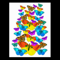 Butterflies! Butterflies!  Postcard postcards