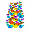 Butterflies, Butterflies! t-shirts
