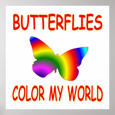 Butterflies Colour My World Poster by AllPetsStore