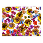 Butterflies & Flowers Full Coverage Graphic Post Cards