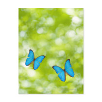 Butterflies flying, Digital Composite Post Card