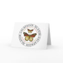 Butterflies Galapagos Islands cards