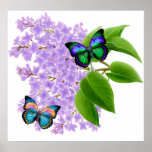 Butterflies in Lilacs Posters