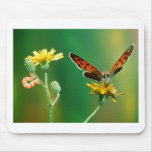 butterflies marvellous metamorphosis mousepads