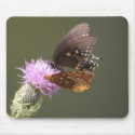 Butterflies mousepads