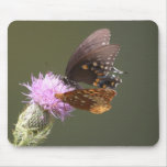 Butterflies mousepads