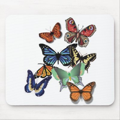 Butterflies Mouse Pad by cathye421