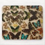 Butterflies Mousepad