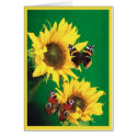 Butterflies of Summer 2 cards
