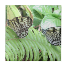 Butterflies on Fern Tile