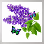 Butterflies on Lilac Flowers posters