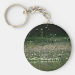 Butterflies on Rio Napo, Ecuador Keychains