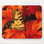 Butterflies on Tiger Lilies mousepads