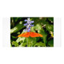 Butterflies photocard personalized photo card