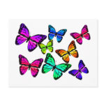 Butterflies Postcard
