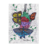 Butterflies Postcard
