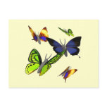 Butterflies Postcard