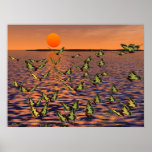 Butterflies posters