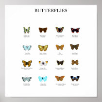 Butterflies Print