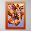 Butterflies red blue abstract painting posters