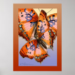 Butterflies red blue abstract painting posters