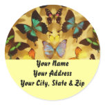 Butterflies Sticker