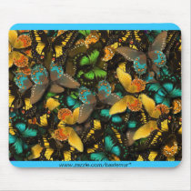 Butterflies, www.zazzle.com/baxiemur*