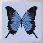 butterfly4 posters