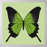 butterfly5 posters