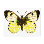 Butterfly 02