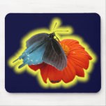 Butterfly 03 mousepads