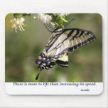 Butterfly 1 mousepads