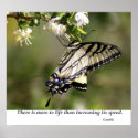 Butterfly 1 posters